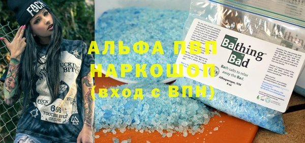 PSILOCYBIN Козловка