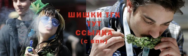 PSILOCYBIN Козловка