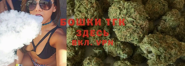мдпв Киреевск